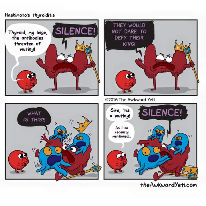 The Awkward Yeti Comic Called Hashimoto's Thyroiditis- Blood Cell 